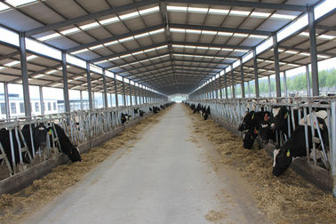 China Automation And Sanitary Pre-made Steel Structural Cowshed Framing Systems supplier