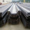 Omega Steel Sheet Piling For Beach Erosion Protection Road Slope Stabilization supplier