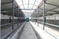 Prefabricated Steel Structural Warehouse Workshop Steel Cowshed And Construction supplier
