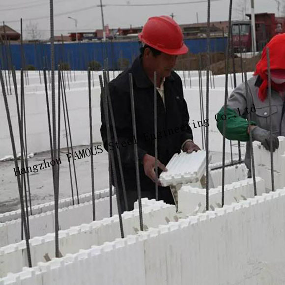 Green House Self Aligning Typical Assembly Insulated Concrete Forms ICFs Wall BuildBlocks 1