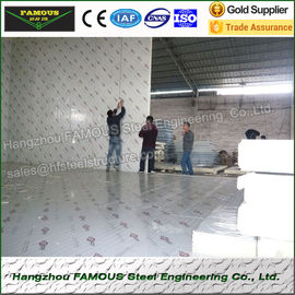 China Polystyrene Fruit Cold Storage Room Heat Insulated Walk In Freezer Rooms supplier