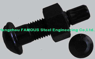 Steel Buildings Kits Black Bolts And Fasteners With High Tension Hex Bolts supplier