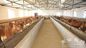 Pre-engineered Steel Framing Systems Breeding Cow / Horse With Roof Panels supplier