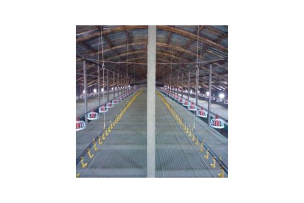 China Steel Structure Poultry Shed (PS-001) supplier