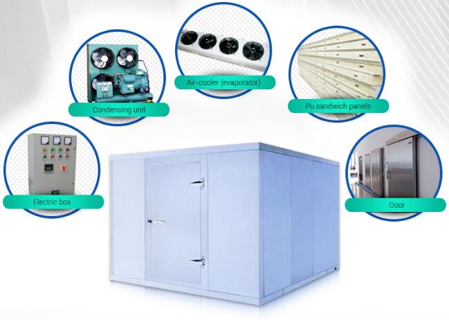 Refrigeration equipment cold room used for supermarket fish and meat keeping frozen 0